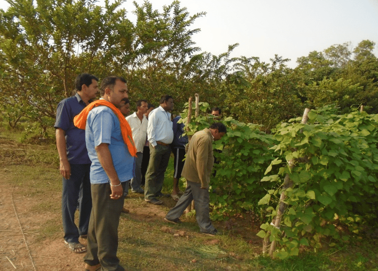 Community Welfare